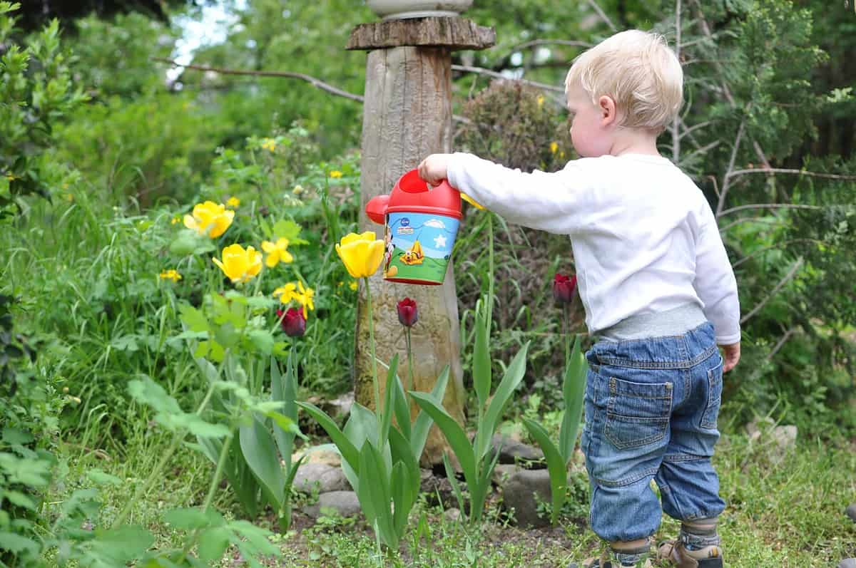 Great Gardening Ideas for Kids PLUS WIN a Gardening Kit