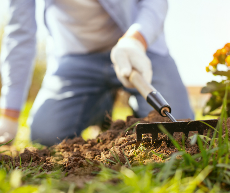 What are the Health Benefits of Gardening?