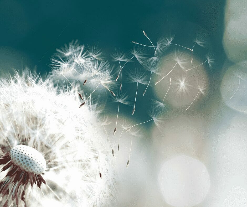 4 Common allergies and their symptoms