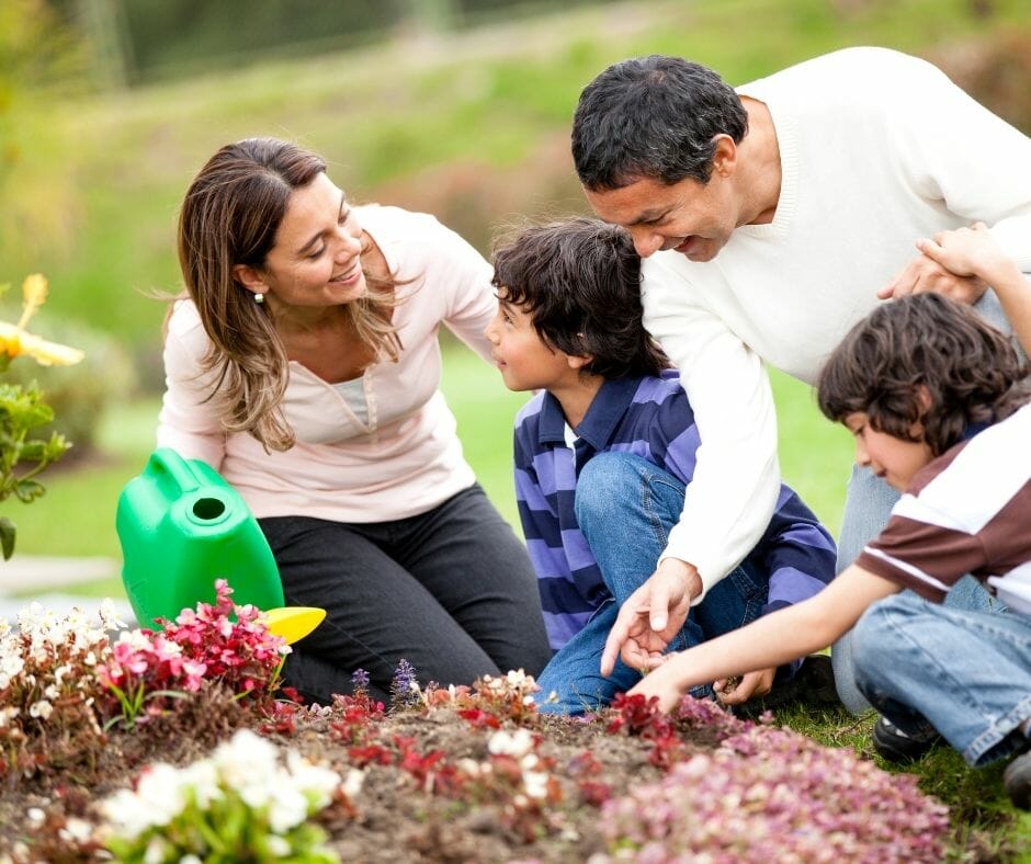 Making Your Ideal Garden Space