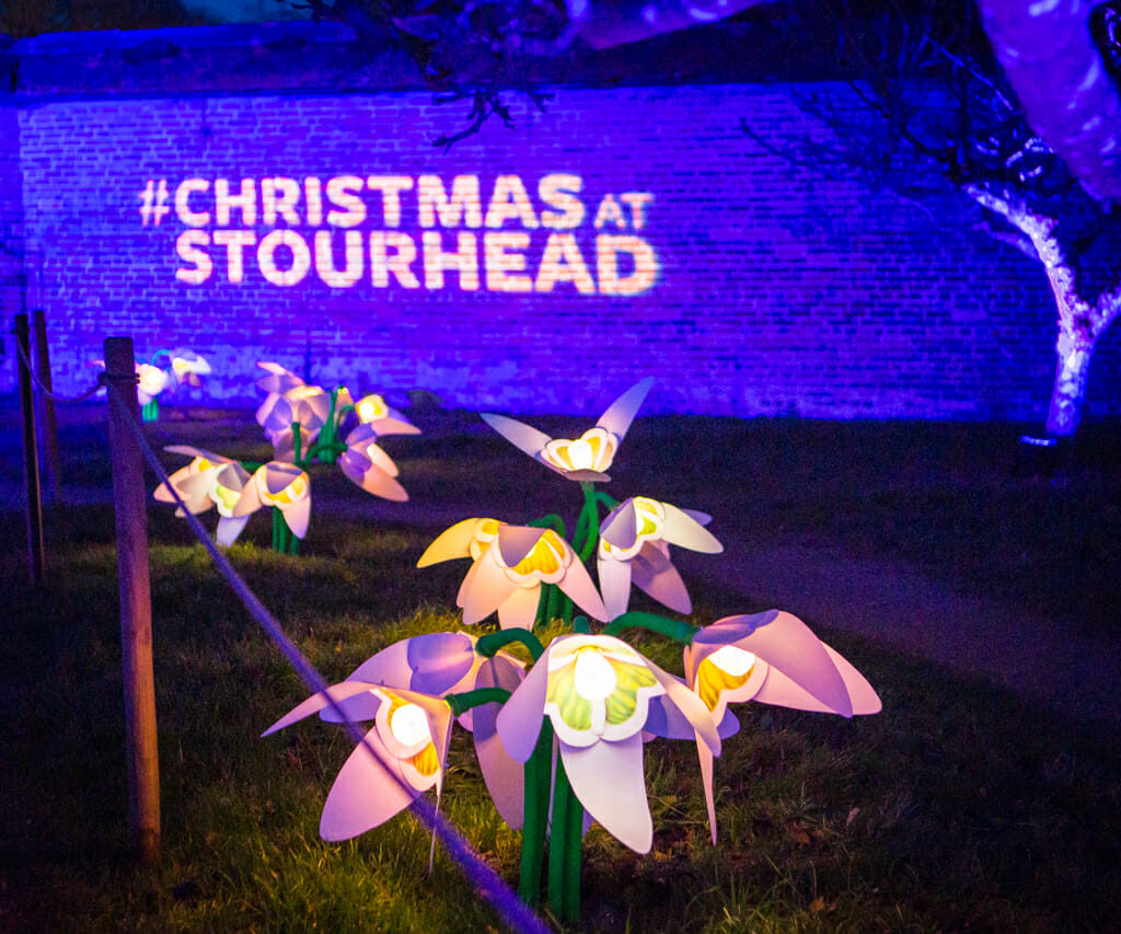 Making the festive season special: The Christmas Light Trail at Stourhead