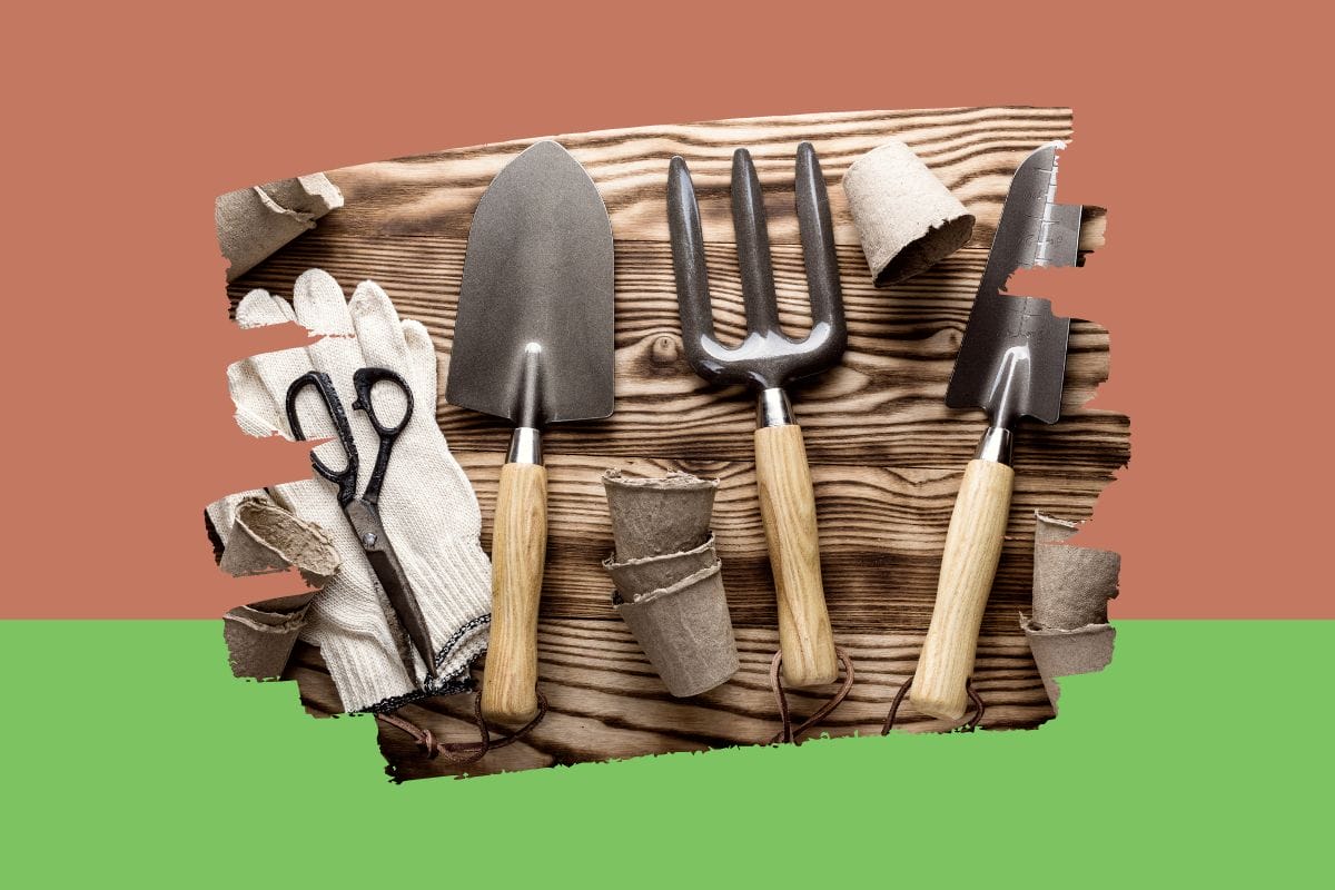 Thoughtful and Useful Christmas Gifts for Discerning Gardeners