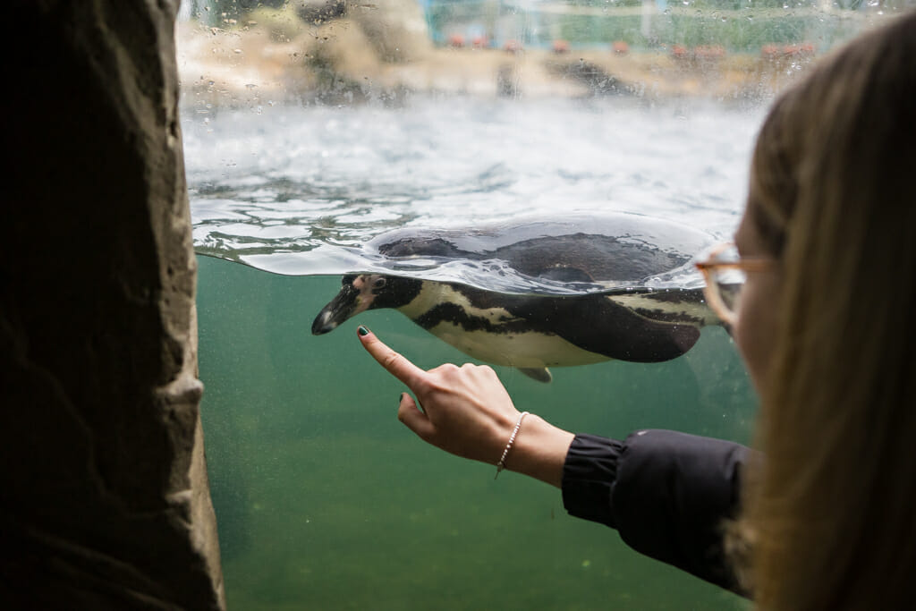 A Review of Sea Life Adventure Park Weymouth